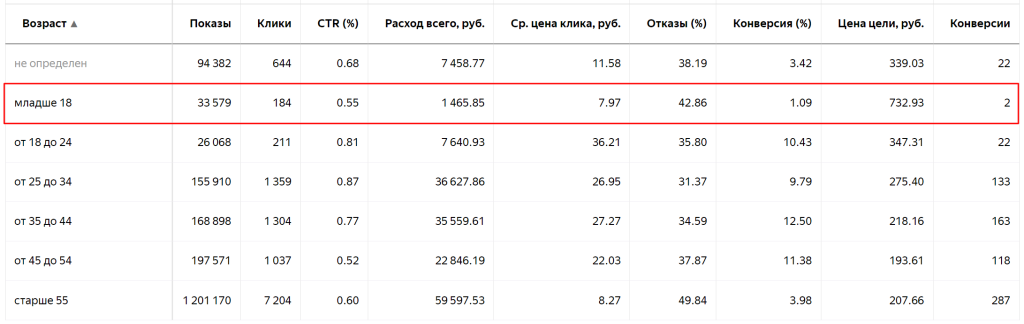 Возраст Директ отчет